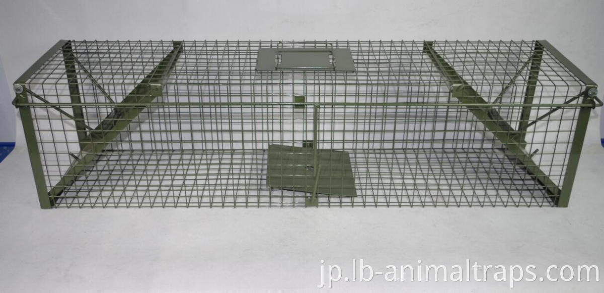 wire mesh metal